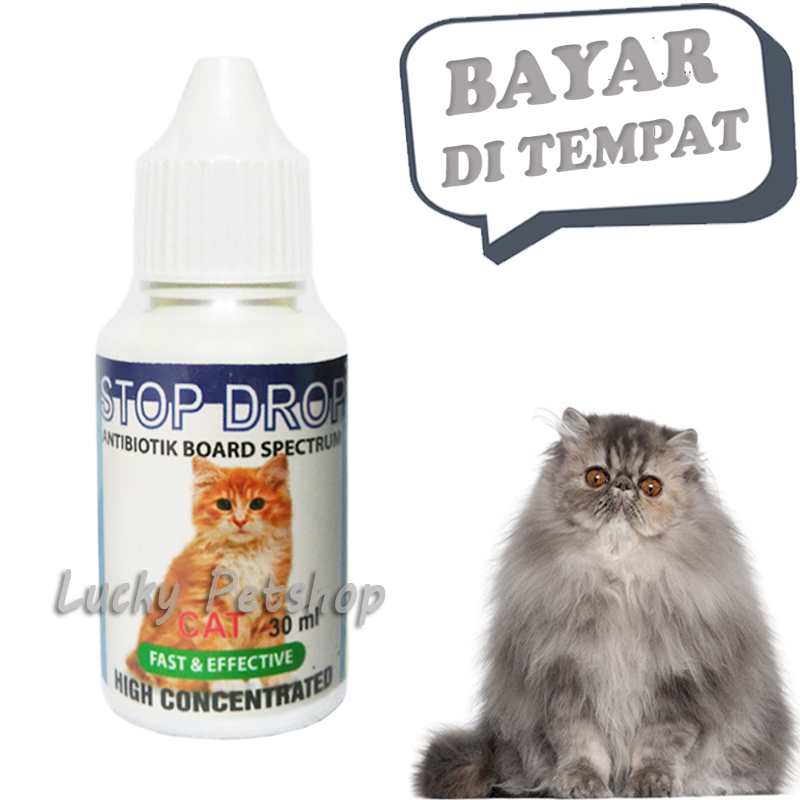 Antibiotik Kucing Obat Sakit Flu Deman Anak Kucing Stop Drop Lazada Indonesia