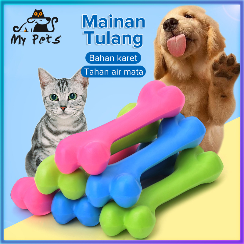 Anjing Mini Pom Dijual Jual Anjing Mini Pom Dijual Terbaru