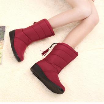 Gambar 2017 New Arrival Winter Women Snow Boots Fashion Medium Tube Slopewith Warm Plus Velvet Boots Waterproof Anti slip with Tassels 35(wine red)   intl