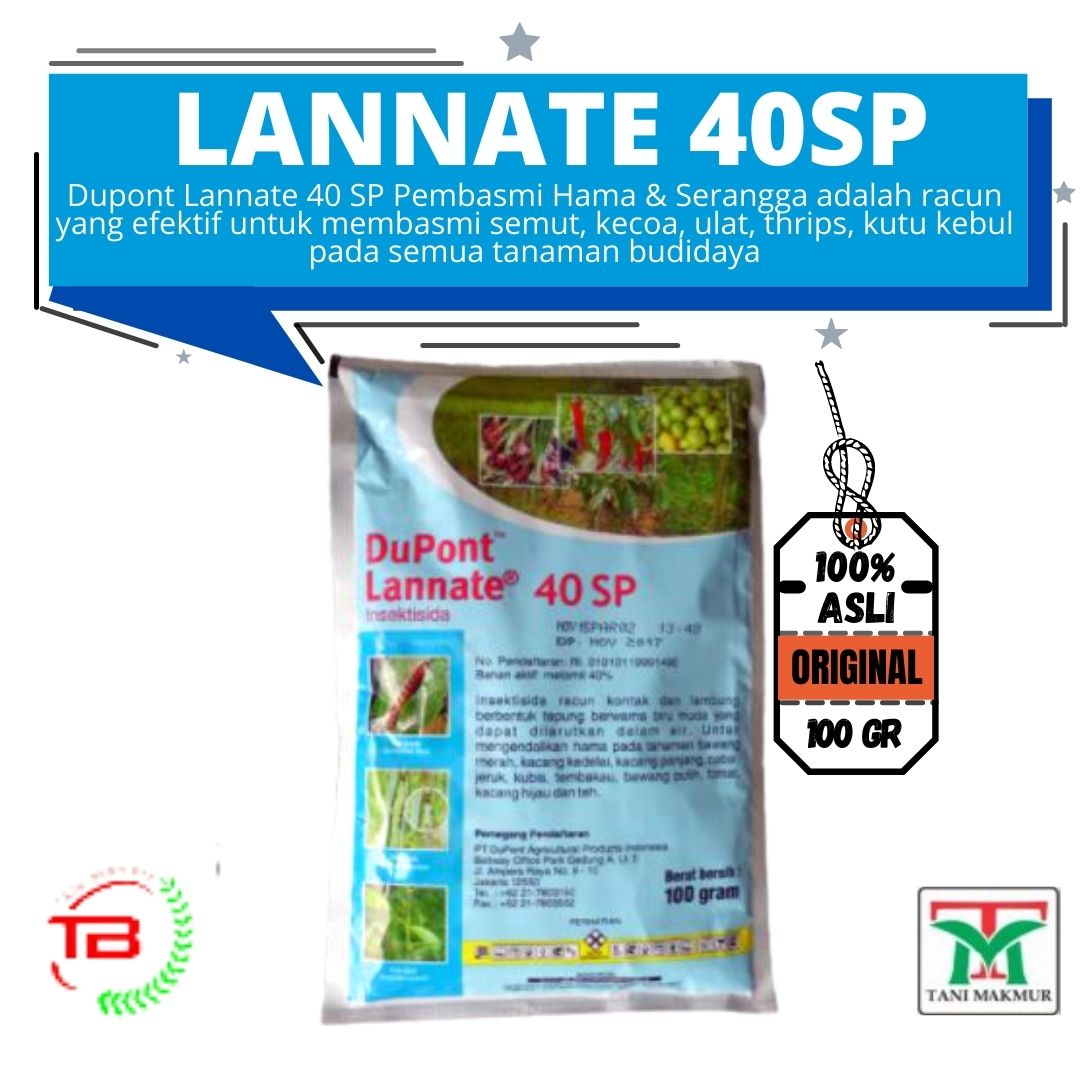 Qadimgi va semiz biseksual porno Qisqa oyoqli, uzun oyoqli, domboq, oriq jinsiy aloqa, qaysi ayol seksualroq?