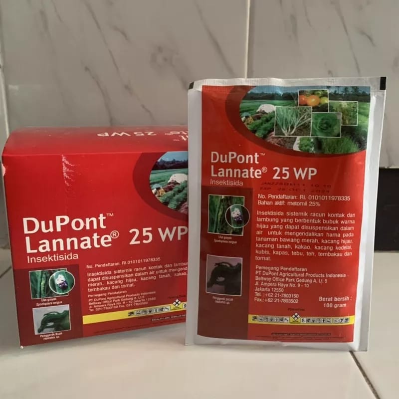 Porno xola taqib rasmlar