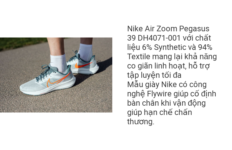 Xách Tay Chính Hãng Giày Thể Thao Nam Nike Air Zoom Pegasus 39 Hola Lou  Do9500-300 | Lazada.Vn