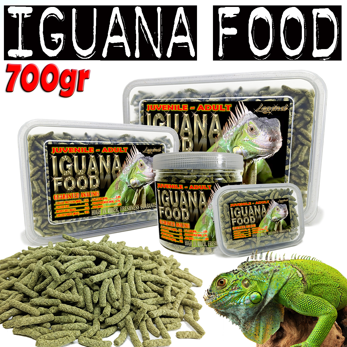 Jual Iguana Gren Terbaru Online dengan Harga Terbaik Lazada
