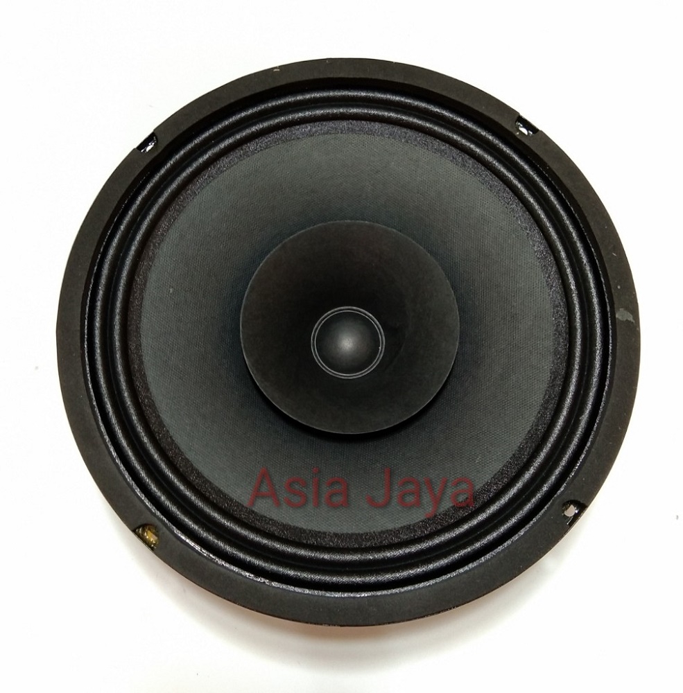 speaker cannon 10 inch full range