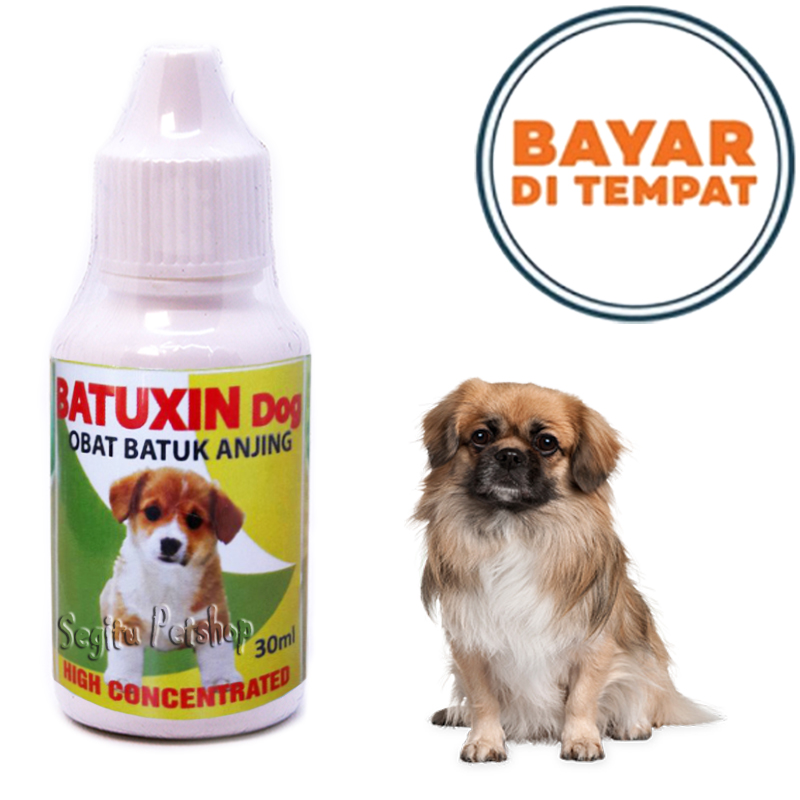 Obat Batuk Anjing Sakit Pilek Ingusan Gejala Demam Puppy Batuxin Dog | Lazada Indonesia