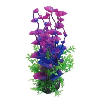 Gambar Aquarium fish tank plant creature aquarium decoration Decorlandscape   intl