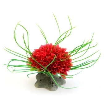 Harga Aquarium ModelingLandscaping Plants Ornamental Aquatic
PlasticMulticolored Ball intl Online Review