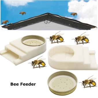 Gambar Bee Entrance Feeder Beekeeping Beehive Honey Beekeeper Bee Hive Keeping Equip   intl