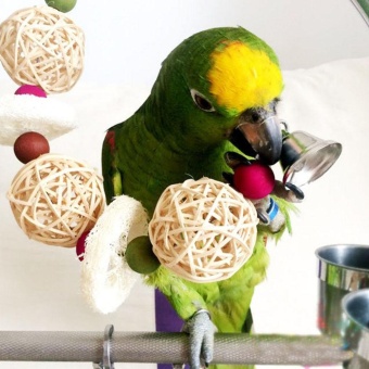 Gambar Bell Swing Cage Bird flexible colorful bridge parrot bird swing petStand toy   intl