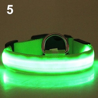 Gambar Bluelans(R) Adjustable Nylon Night Safety LED Flashing Glow Neck Strap Puppy Pet Dog Collar L (Green)   intl