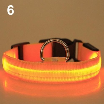 Gambar Bluelans(R) Adjustable Nylon Night Safety LED Flashing Glow Neck Strap Puppy Pet Dog Collar M (Yellow)   intl