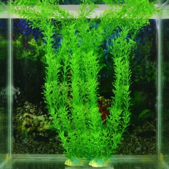 Gambar Bluelans(R) Aquarium Plants Water Faux Green Grass Ornament Plant Fish Tank Decoration   intl