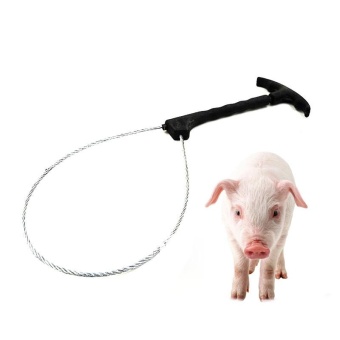 Gambar epidemic Prevention Pig catching device   intl