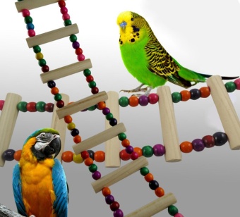 Gambar goplm Parrots Bird Toy Flexible Ladder Parakeets Toys,4 Ladders  intl