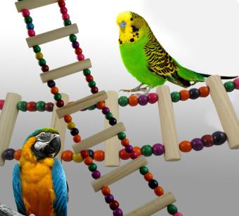 Gambar hogakeji Parrots Bird Toy Flexible Ladder Parakeets Toys,4 Ladders