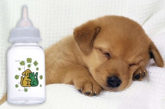 Gambar jiage Dog Milk Bottle With Replaceable Nipples And Cleaning BrushFor Dogs Cats Rabbits   intl