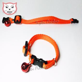 Kalung Kucing Orange April 2018 - 2 Kalung Kucing Orange - 2