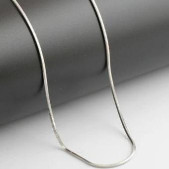 Detail Gambar Produk Kalung Pria Wanita Titanium Terlengkap
