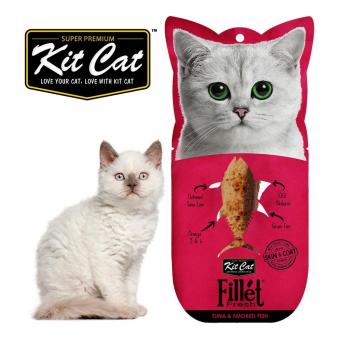Gambar Kitcat Fillet Tuna Smoked Fish 30gr