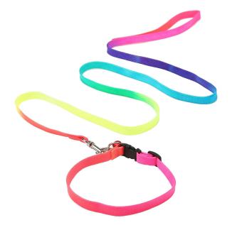 Gambar leegoal tali anjing memimpin dengan warna pelangi berwarna warna warni untuk kecil dan menengah anjing   International