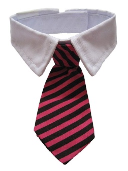 Gambar longmai Formal Pet Dog Bow Tie and Collar (Black White,26 30cm)  intl