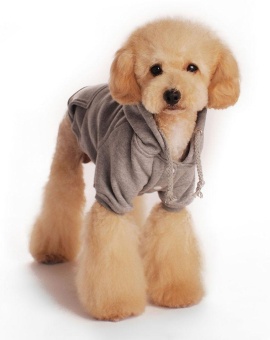 Gambar shangqing Fashion Soft Cotton Dog Hoodie Pet Clothes   intl