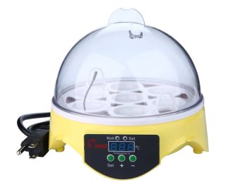 Harga Steker Inggris 7 Telur Mini Control Suhu Digital Otomatis
Mengubah Mesin Penetas Telur Hatcher, Kuning Transparan Niceeshop
Internasional Online Terjangkau