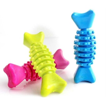 Gambar Thorn Bone Shape Dog Toy TPR Chewing Durable Rubber Random NonToxic Pet Toy   intl