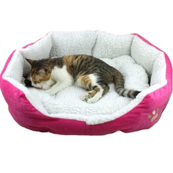 Gambar yugos Comfy Pet Bed With Detachable Pad (L,Rose)   intl