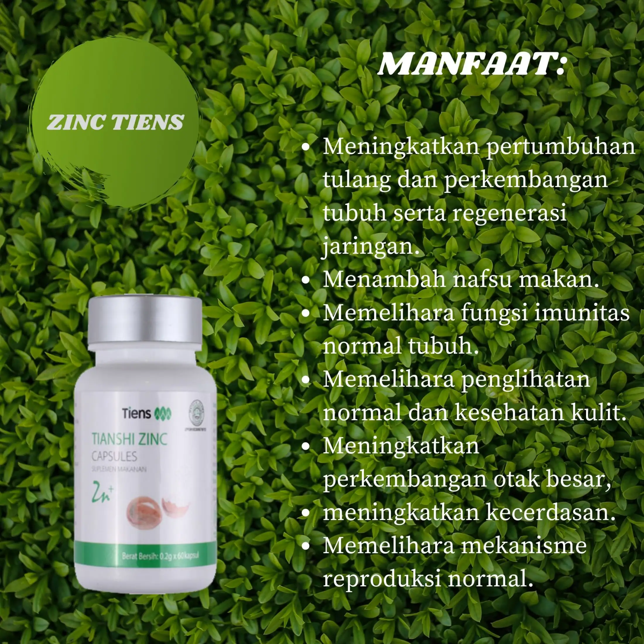 Banting Harga Zinc Capsules Isi 60 Kapsul Suplemen Penambah Berat Badan Suplemen Penggemuk Badan Herbal Suplemen Penambah Berat Badan Alami Tampa Efek Samg Promo Original Rumah Sehat Tsi Lazada Indonesia