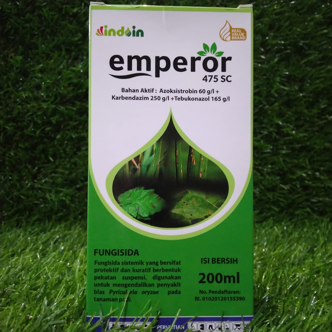 Echkining mushukidagi ulkan xoroz