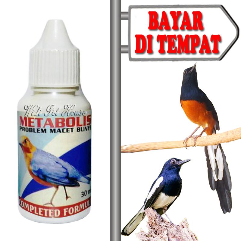 Metabolis Vitamin Burung Macet Bunyi Obat Gacor Murai Kacer Ijo Love Bird Lazada Indonesia