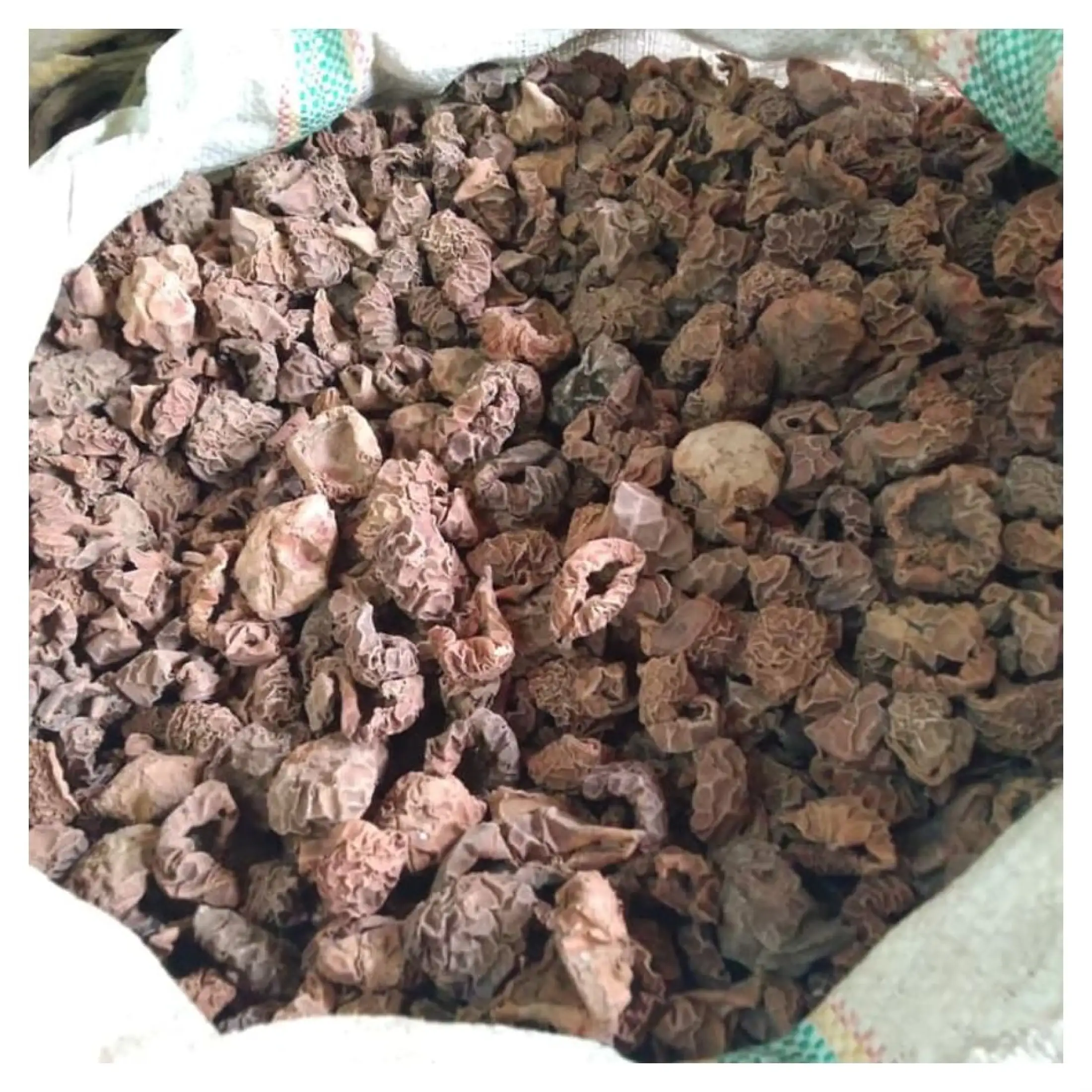 Bisa Cod Kulit Daging Pala Kering 1kg Kulit Daging Buah Pala Kering Lazada Indonesia