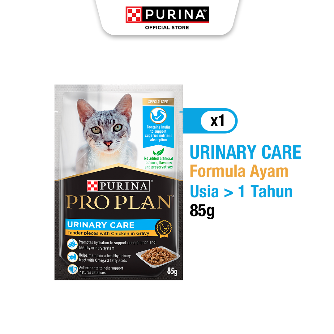 Plan Kitten Food Proplan Petco Purina Petco Cat Food Petco Cat