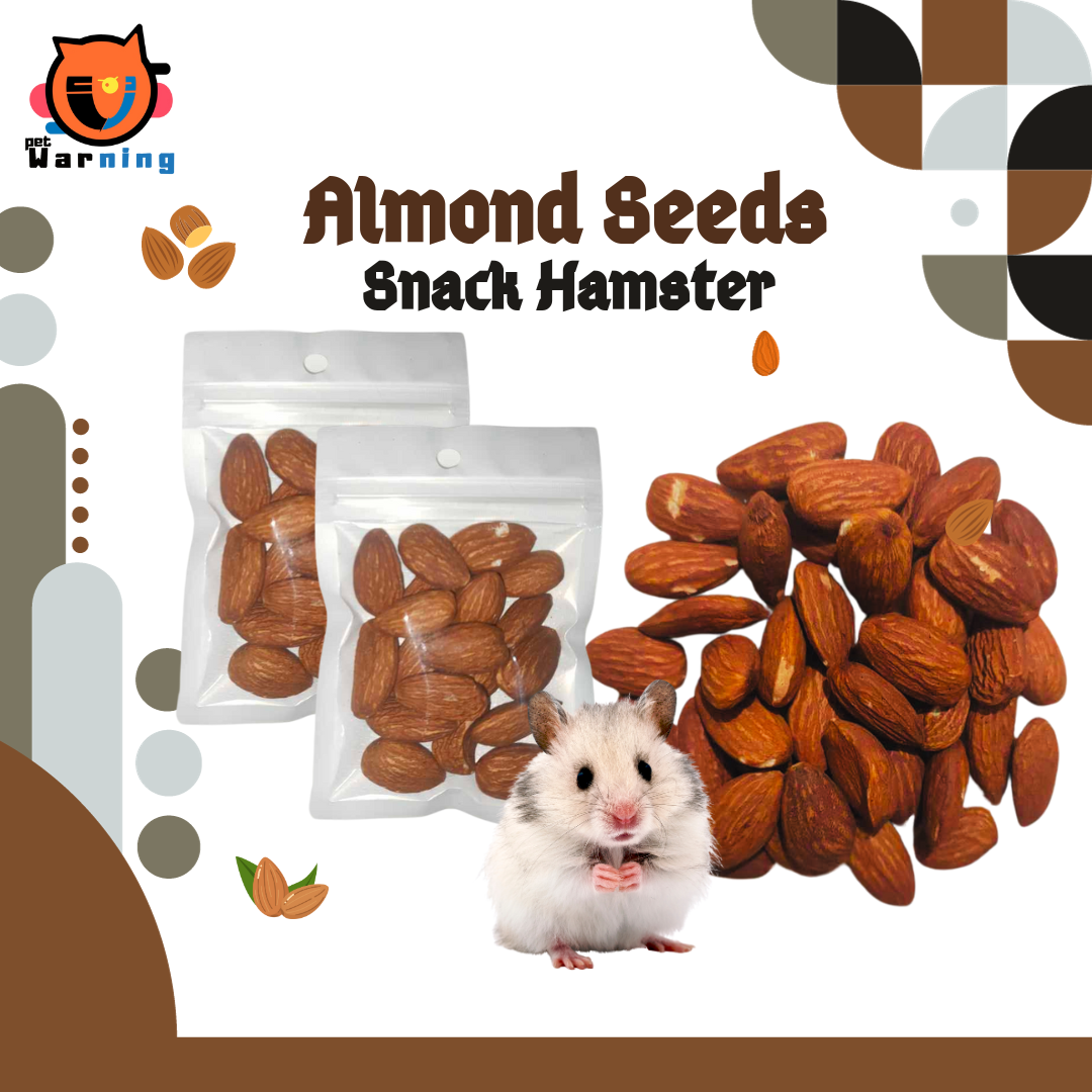 Almond hamster 2025