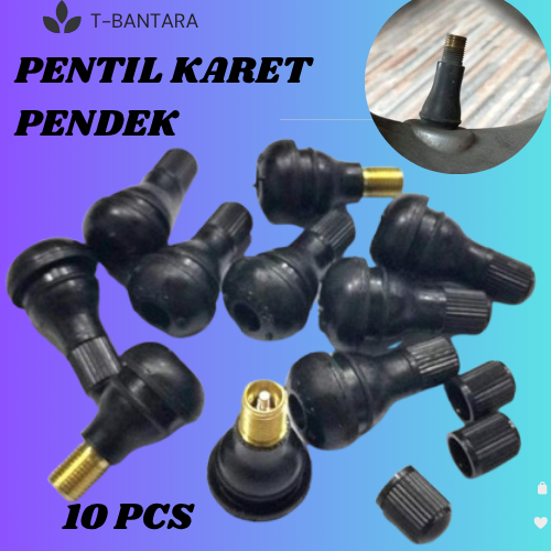 10 PCs good quality Crome motorcycle tire short rubber tubeless nipple Universal Harga 15,000 rupiah*Gratis Ongkir