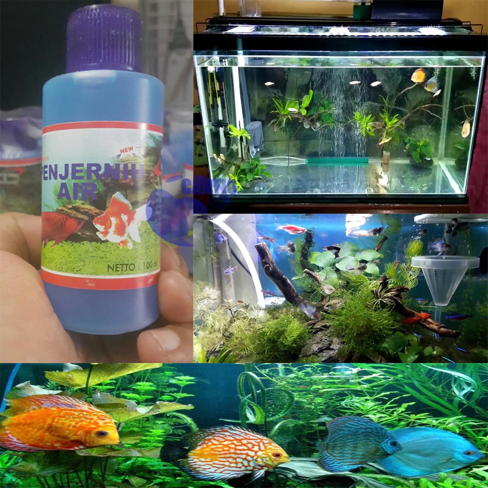 Penjernih Air Aquarium Akuarium Aquascape Penjernih Air Kolam Ikan