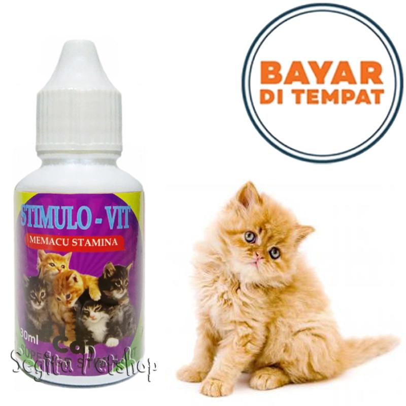 Vitamin Anak Kucing Kurus Lemas Penambah Nafsu Makan Stimulo Vit