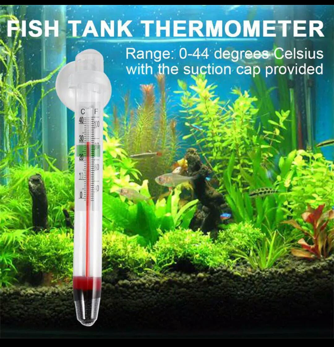 Jual Thermometer Air Aquarium / alat ukur suhu air / akuarium kolam
