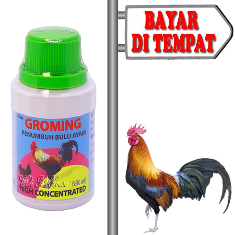 Vitamin Bulu Ayam Jago Penumbuh Bulu Itik Ngurak Mabung Groming Lazada Indonesia