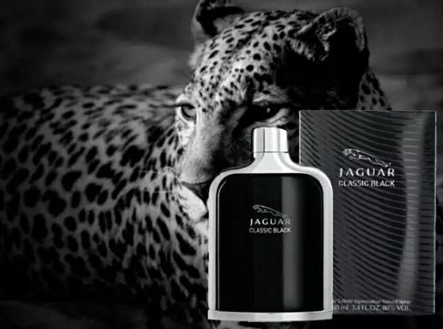 PROMO PARFUM PRIA TERBAIK ORIGINAL 