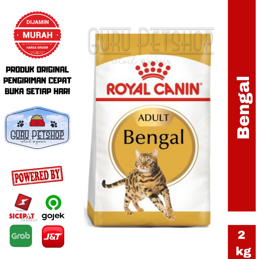 harga royal canin bengal