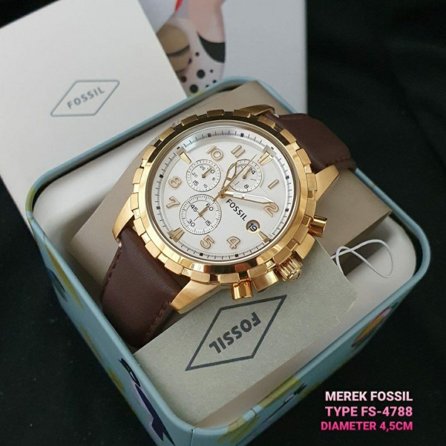 Fs4788 hot sale fossil watch