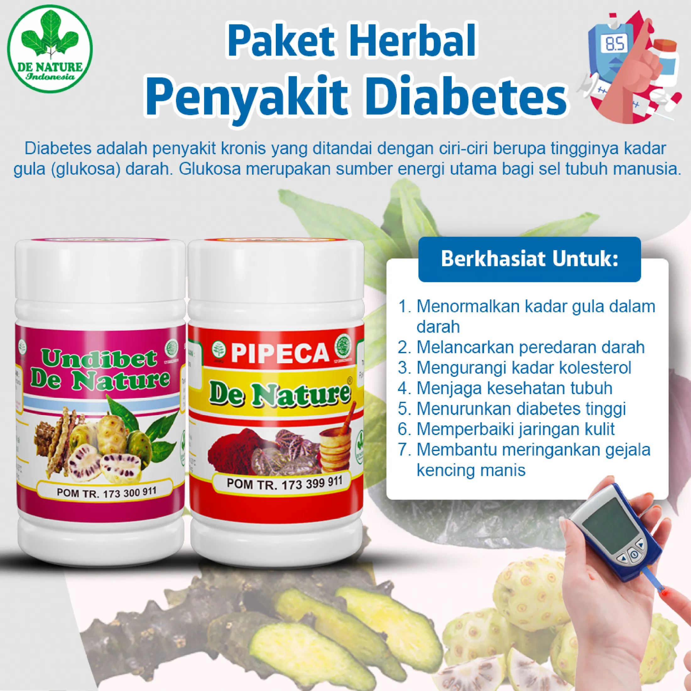 Undibet Pipeca De Nature Obat Diabetes Gula Darah Tinggi Kencing Manis Penyakit Diabetes Kering Basah Lazada Indonesia