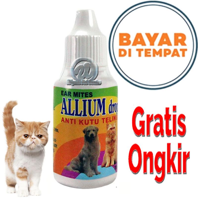Obat Kutu Telinga Kucing Anjing Allium Lazada Indonesia