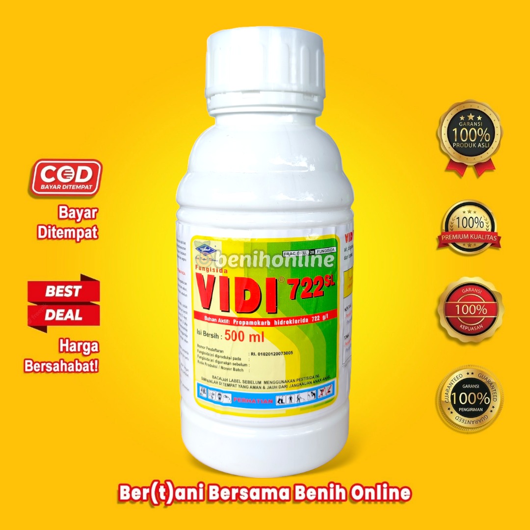 Jastin Biber butunlay yalangoch BBW sochli porno