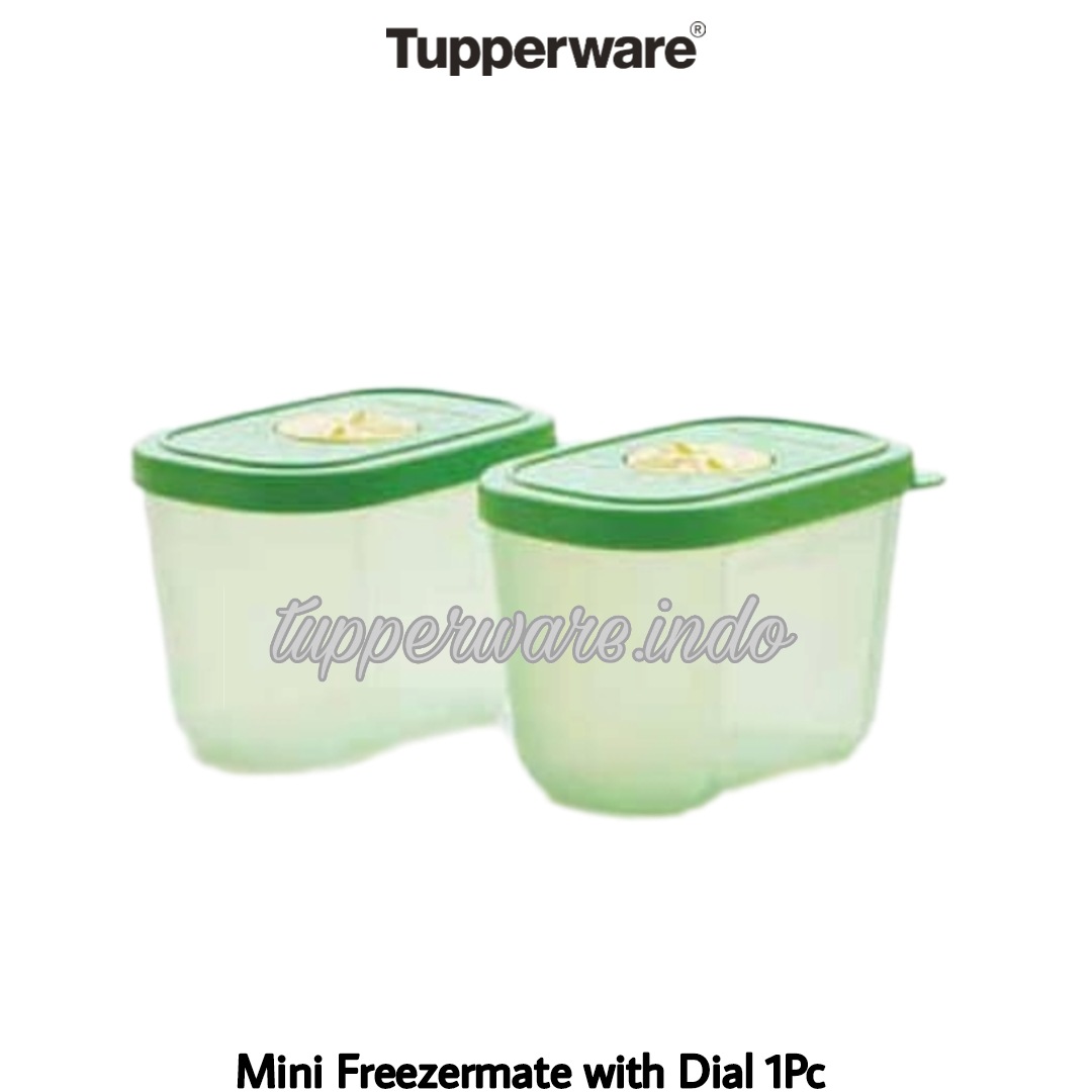 mini freezermate