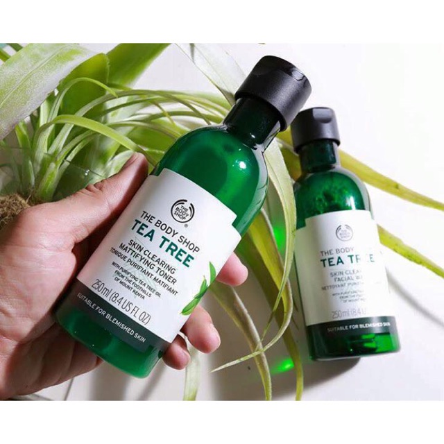 harga the body shop tea tree skin clearing facial wash