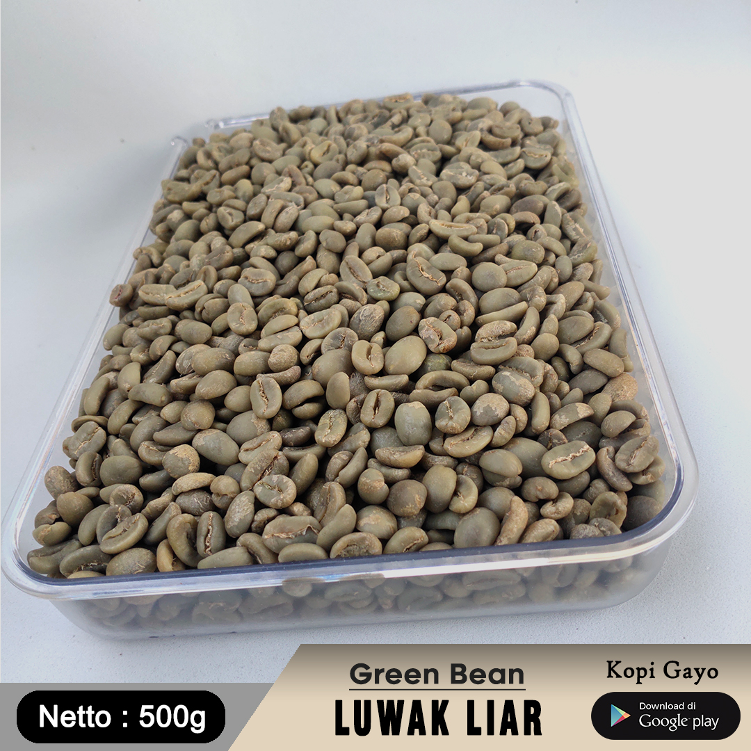 Biji Kopi Luwak Liar Arabika Gayo Aceh 500g-Green Bean Grade 1-AZA Coffee