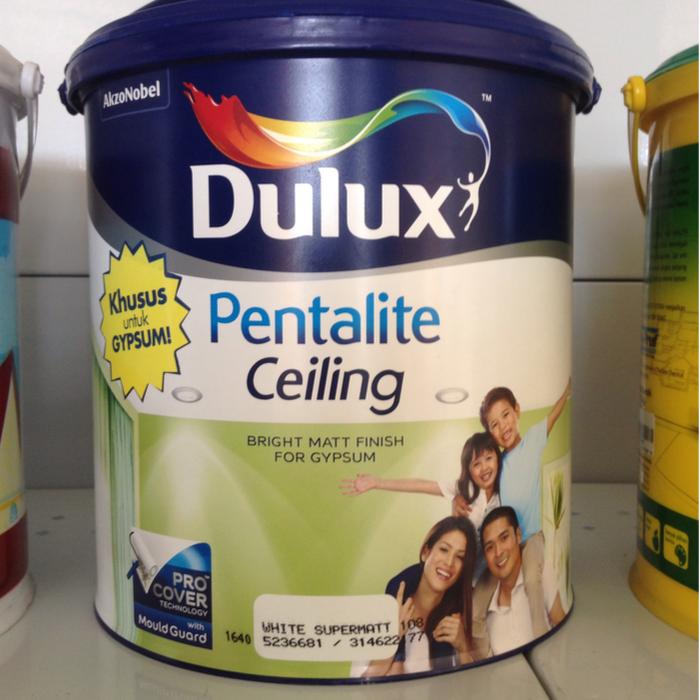 Cat Tembok Dulux Catylac Interior 5 Kg Harga Promo Terbatas